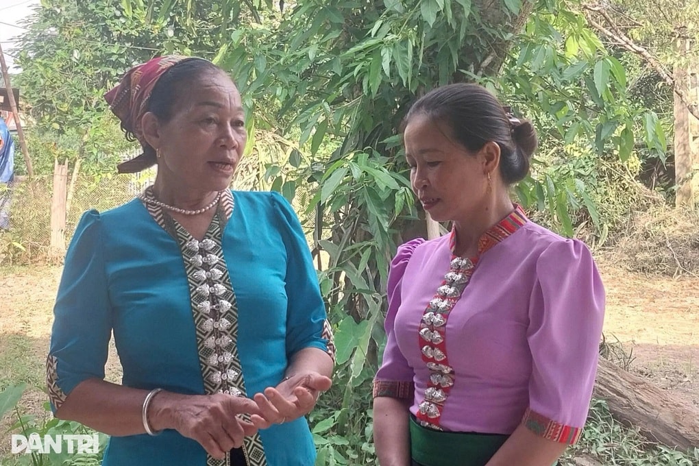 Người phụ nữ vùng cao giúp hàng trăm hộ thoát nghèo - 3