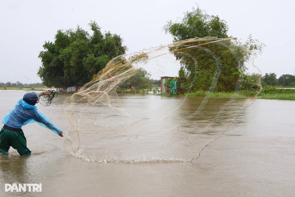 Bất chấp mưa bão, người dân vẫn đổ xô ra đồng kiếm “lộc trời” - 1
