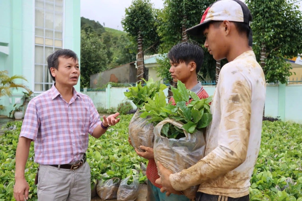 Kỷ lục gia thế giới hướng dẫn đồng bào Xơ Đăng trồng cà phê đặc sản - 2