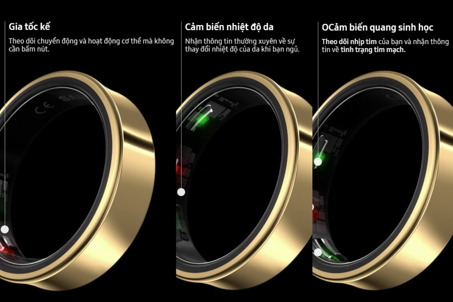 ring-6.jpg