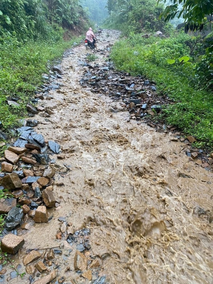 Đường lên điểm trường Khau Noong và Hồ Nhì, xã Quảng Lâm, Cao Bằng. Ảnh: Nhà trường cung cấp