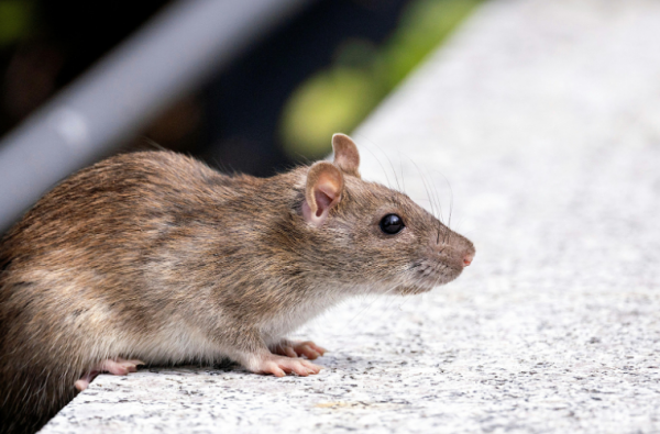 Đang ngồi trong sân bay, người đàn ông 33 tuổi hoảng loạn la hét khi gặp sự cố "đáng sợ"- Ảnh 1. Đang ngồi trong sân bay, người đàn ông 33 tuổi hoảng loạn la hét khi gặp sự cố "đáng sợ"- Ảnh 1.