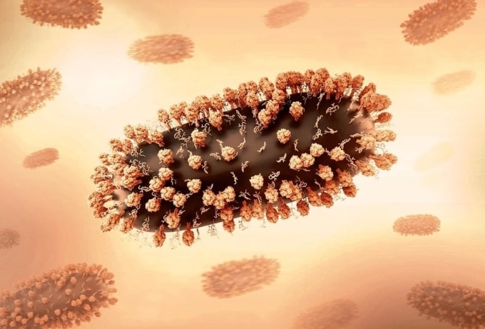 Virus RSV dễ lây lan qua đường hô hấp. Ảnh: NIAID