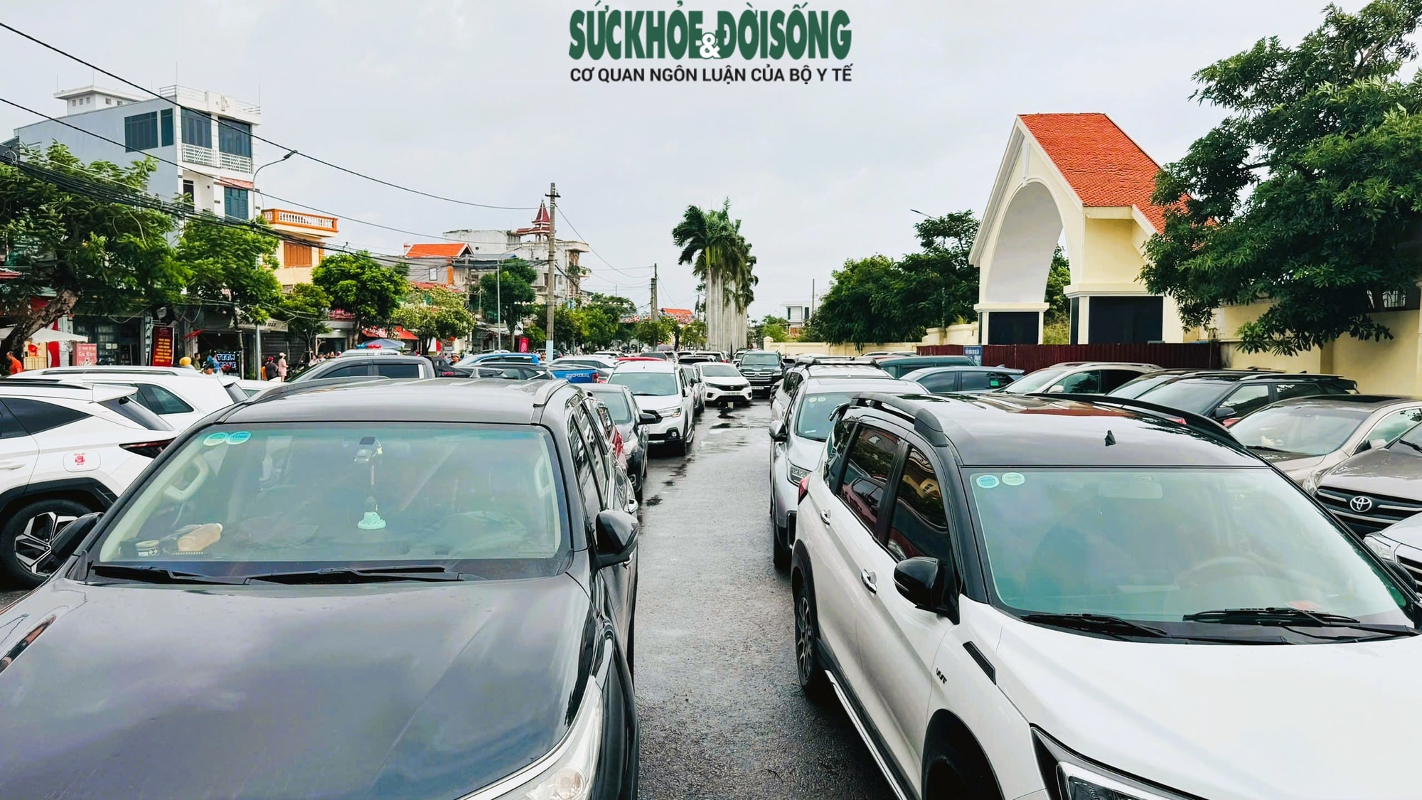 Giải mã sức hút Lễ hội chọi trâu Đồ Sơn - di sản văn hóa biển độc đáo- Ảnh 5.