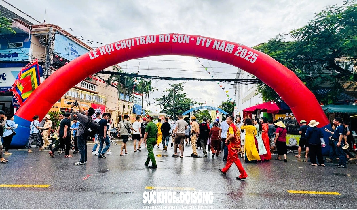 Giải mã sức hút Lễ hội chọi trâu Đồ Sơn - di sản văn hóa biển độc đáo- Ảnh 2.