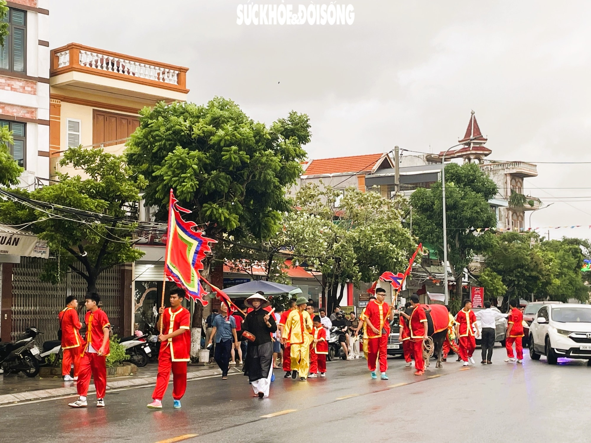 Giải mã sức hút Lễ hội chọi trâu Đồ Sơn - di sản văn hóa biển độc đáo- Ảnh 7.