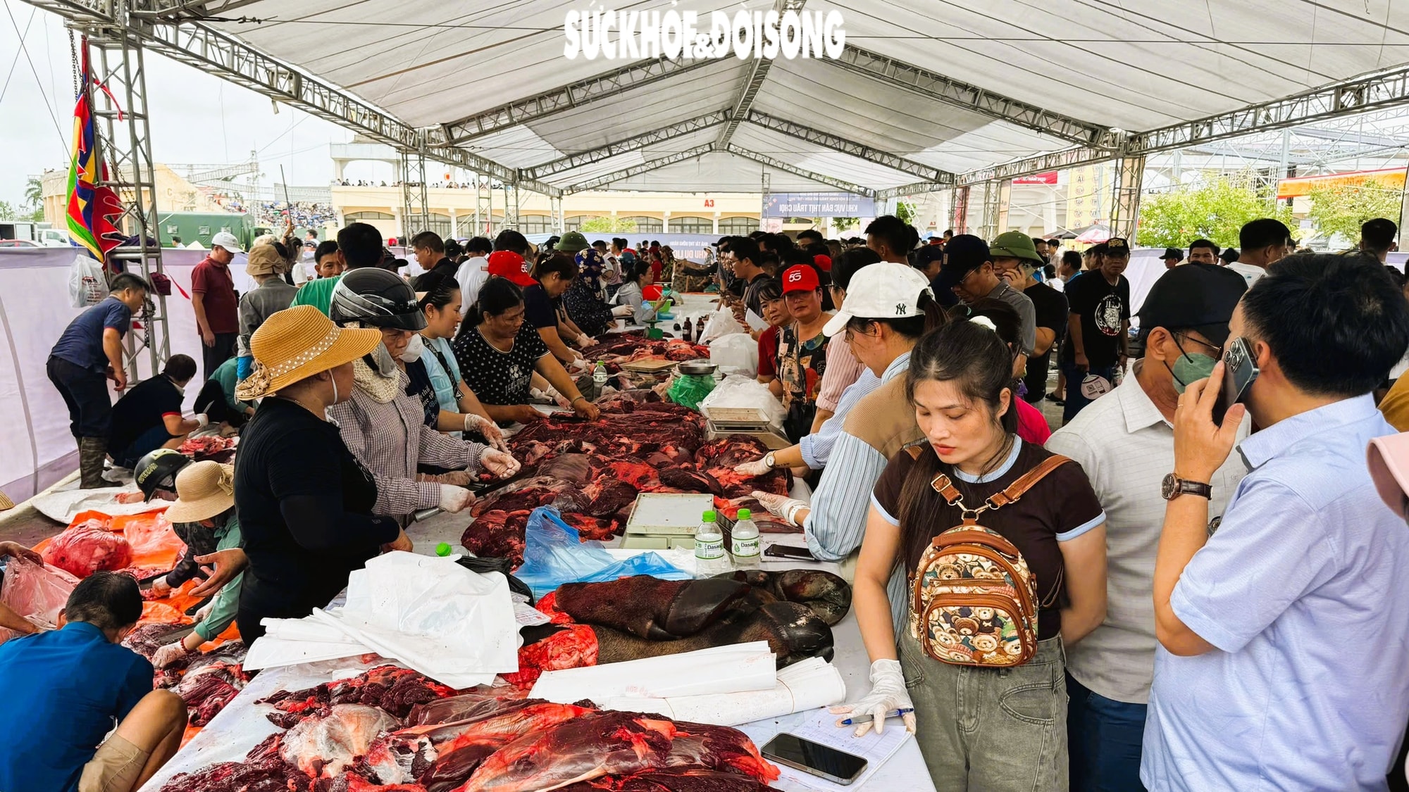 Giải mã sức hút Lễ hội chọi trâu Đồ Sơn - di sản văn hóa biển độc đáo- Ảnh 18.