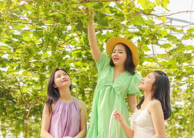 Khách tham quan Suối Tiên Farm. Ảnh: Suối Tiên