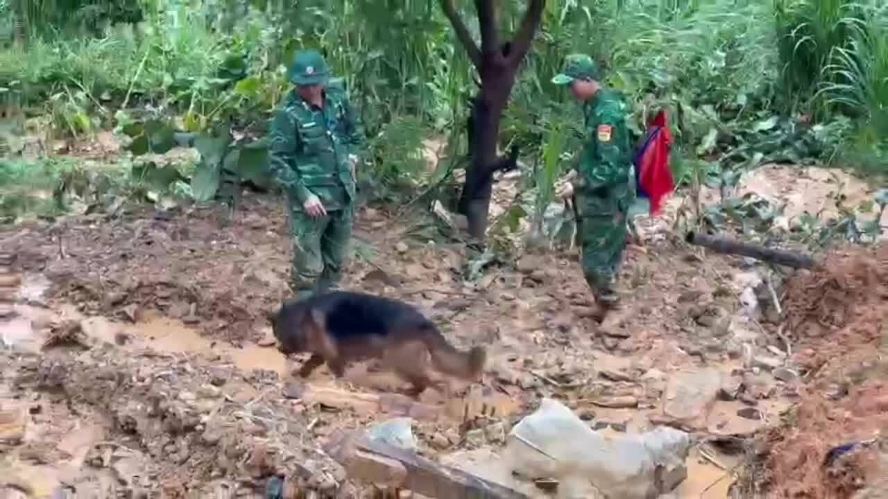 Chó nghiệp vụ tìm người mất tích ở Lũng Cú