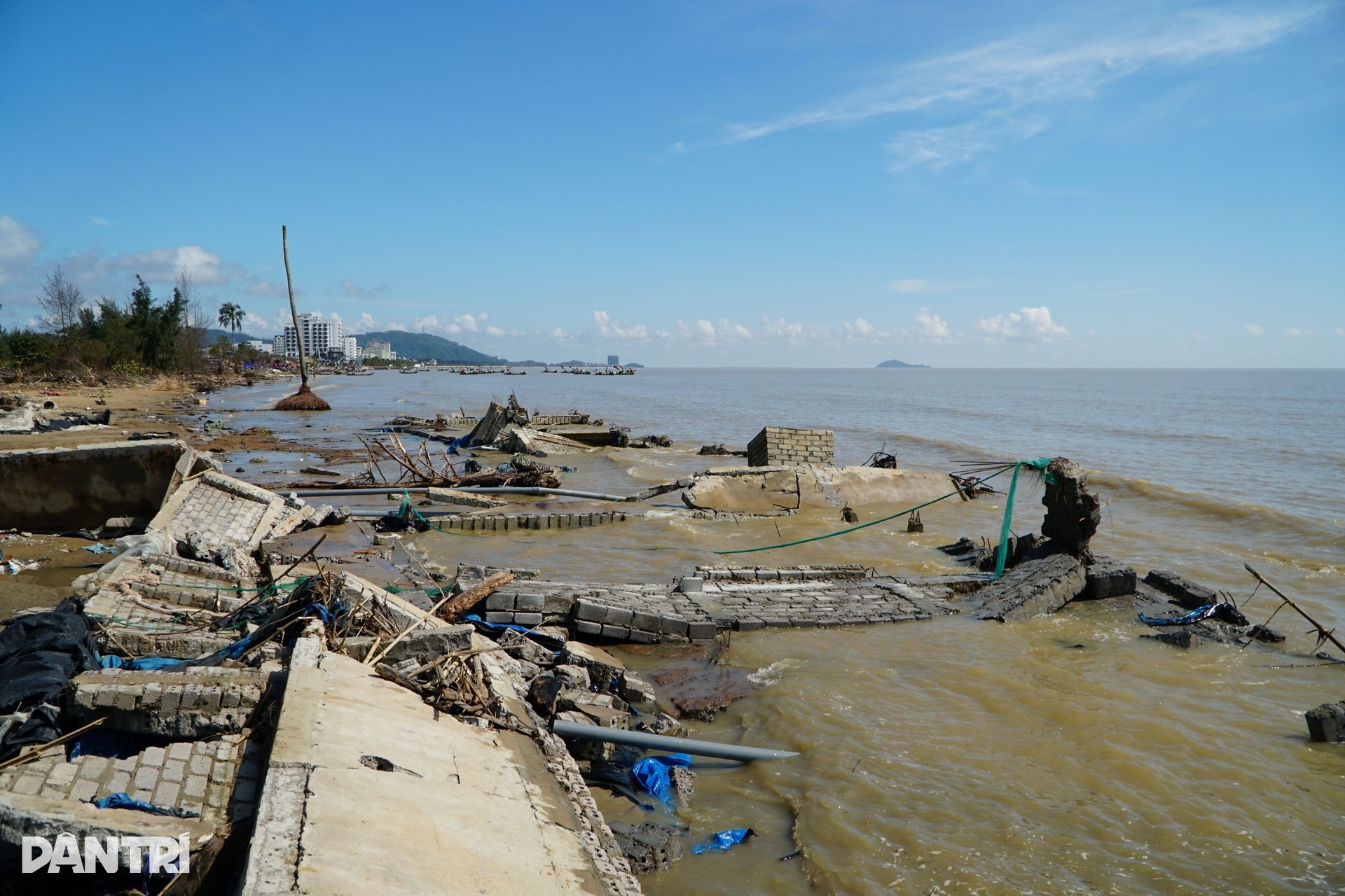 Chủ đầm tôm: Bão Kajiki còn cầm cự, tới Bualoi thì chẳng còn gì - 3