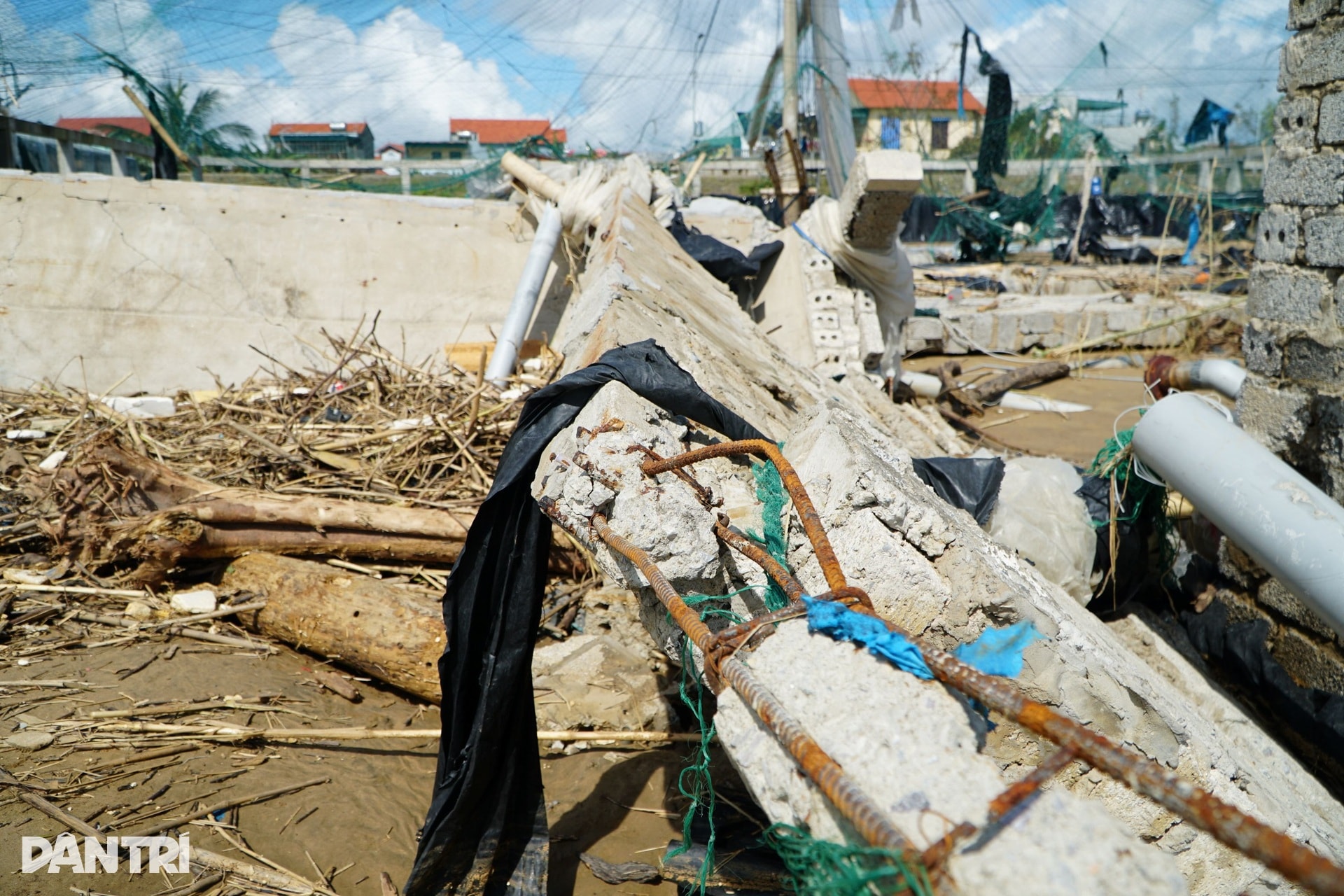 Chủ đầm tôm: Bão Kajiki còn cầm cự, tới Bualoi thì chẳng còn gì - 4