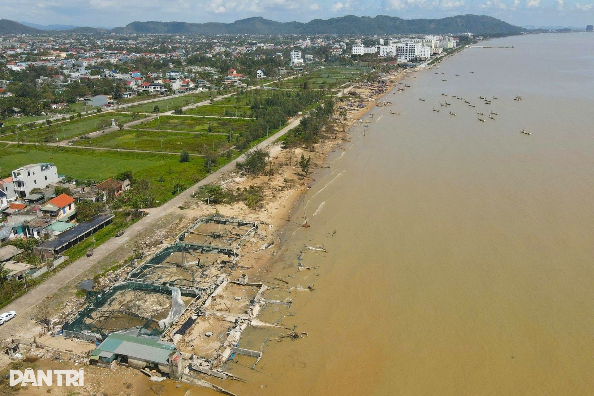 Chủ đầm tôm: Bão Kajiki còn cầm cự, tới Bualoi thì chẳng còn gì - 10
