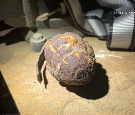 Bé trai 3 tuổi phát hiện thứ "đáng sợ" trong sân nhà, cha mẹ lập tức báo cảnh sát - Ảnh 2.