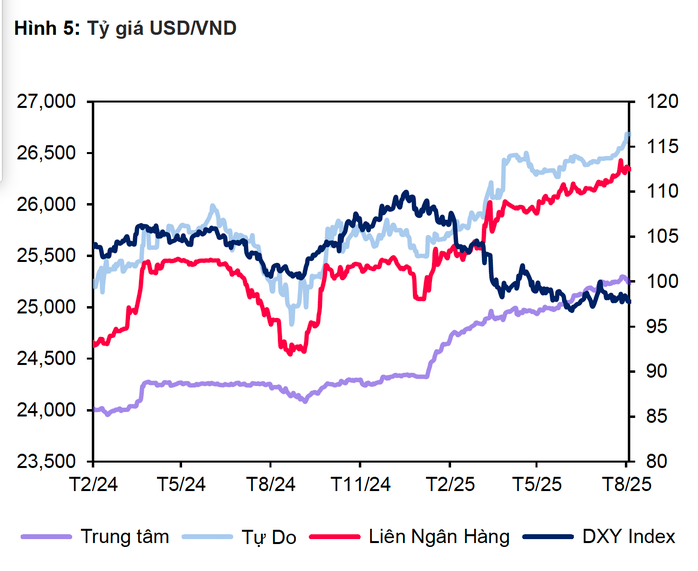 Giá USD tại ngân hàng giảm mạnh: Tình hình tỉ giá Việt Nam hiện nay - Ảnh 3. Giá USD tại ngân hàng giảm mạnh: Tình hình tỉ giá Việt Nam hiện nay - Ảnh 3.