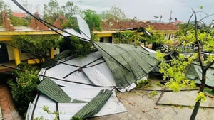 Chuyên gia: Hoàn lưu bão số 11 rộng, chưa đổ bộ vẫn có thể xuất hiện dông lốc