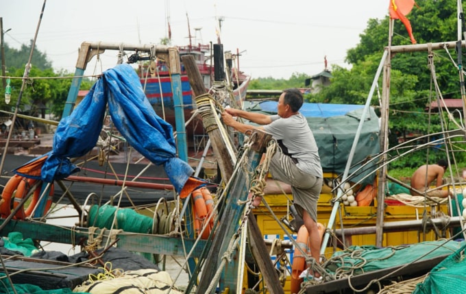 Ngư dân hoạt động trên vùng biển Hải Phòng đưa tàu vào cảng Ngọc Hải, Đồ Sơn tránh bão. Ảnh: Lê Tân
