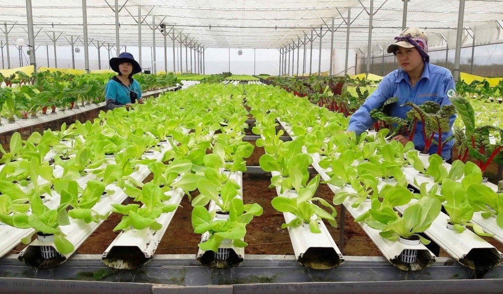 Chuyển đổi số trong xây dựng nông thôn mới ở Nghệ An - 1 Chuyển đổi số trong xây dựng nông thôn mới ở Nghệ An - 1