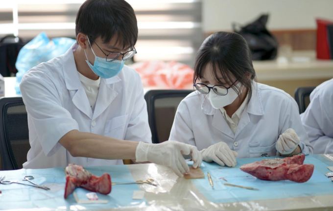 Sinh viên ngành Răng Hàm Mặt của trường Đại học Y Dược trong workshop về phẫu thuật trong miệng, giữa tháng 5. Ảnh:LCĐ Răng Hàm Mặt