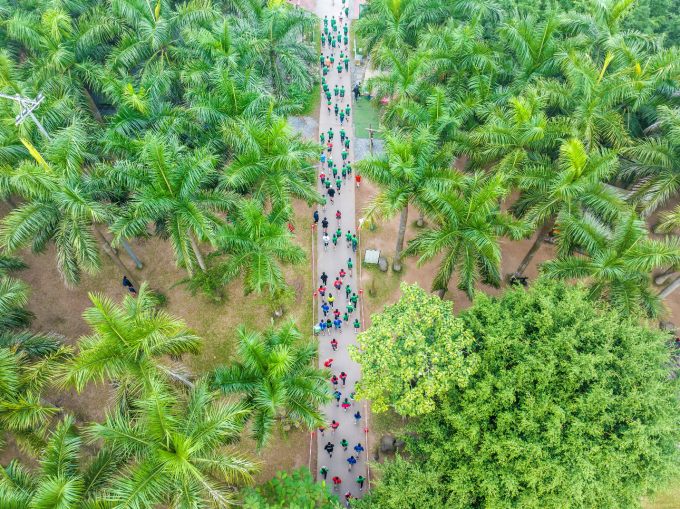 VĐV tham gia giải chạy Ecopark Marathon các mùa trước.