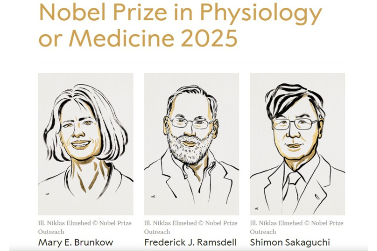 ket-qua-giai-nobel-y-sinh-2025.png