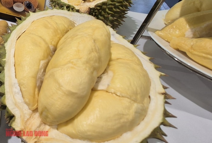 Giá sầu riêng hôm nay 6 - 10: Tăng vọt do cung không đủ cầu - Ảnh 2. Giá sầu riêng hôm nay 6 - 10: Tăng vọt do cung không đủ cầu - Ảnh 2.