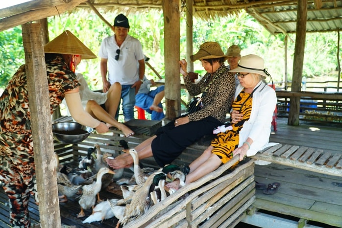 VIDEO: Trải nghiệm thú vị “massage vịt” ở miền Tây - Ảnh 1.