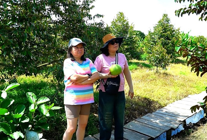 VIDEO: Trải nghiệm thú vị “massage vịt” ở miền Tây - Ảnh 10.