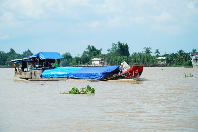 VIDEO: Trải nghiệm thú vị “massage vịt” ở miền Tây - Ảnh 12.