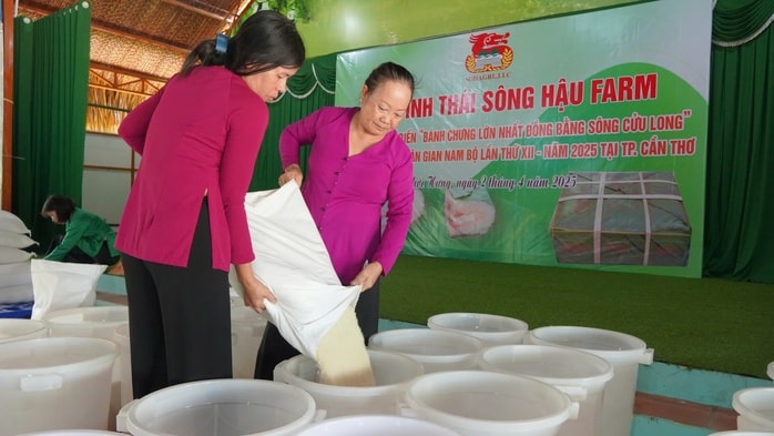 Cần Thơ: Dùng hơn 215 kg thịt ba chỉ gói bánh chưng Cần Thơ: Dùng hơn 215 kg thịt ba chỉ gói bánh chưng