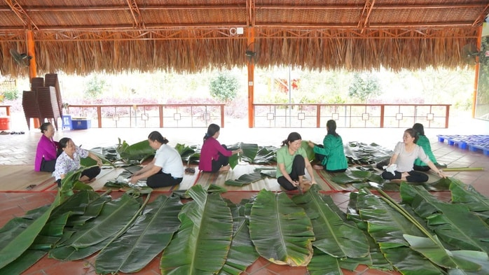 Cần Thơ: Dùng hơn 215 kg thịt ba chỉ gói bánh chưng Cần Thơ: Dùng hơn 215 kg thịt ba chỉ gói bánh chưng