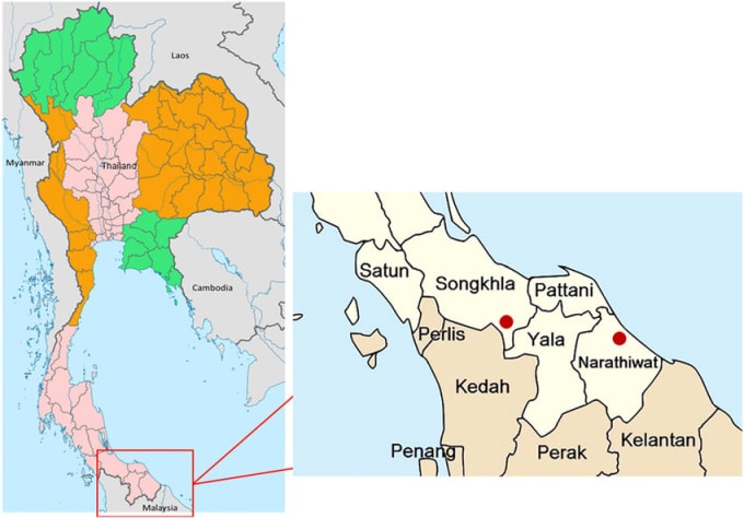 Vị trí tỉnh Narathiwat ở miền nam Thái Lan. Đồ họa: ResearchGate
