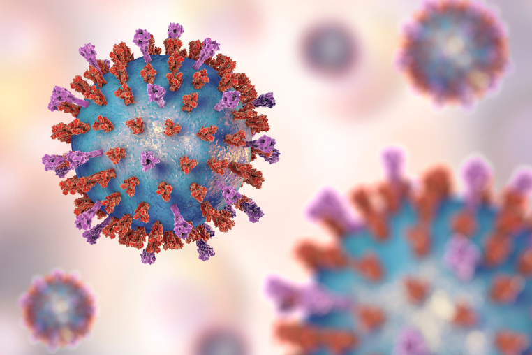 virus-rsv.png