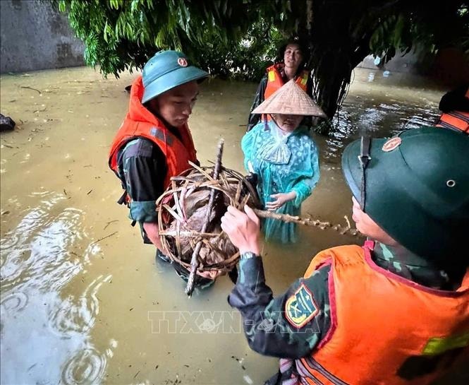 Chú thích ảnh