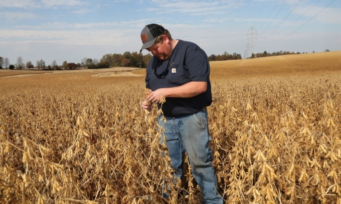 Một nông dân trên cánh đồng của mình ở Magnolia, Kentucky, Mỹ. Ảnh: Reuters