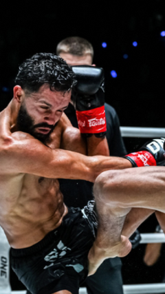 Võ sĩ Muay Thái tung đòn trúng chỗ hiểm, trọng tài hủy bỏ trận đấu