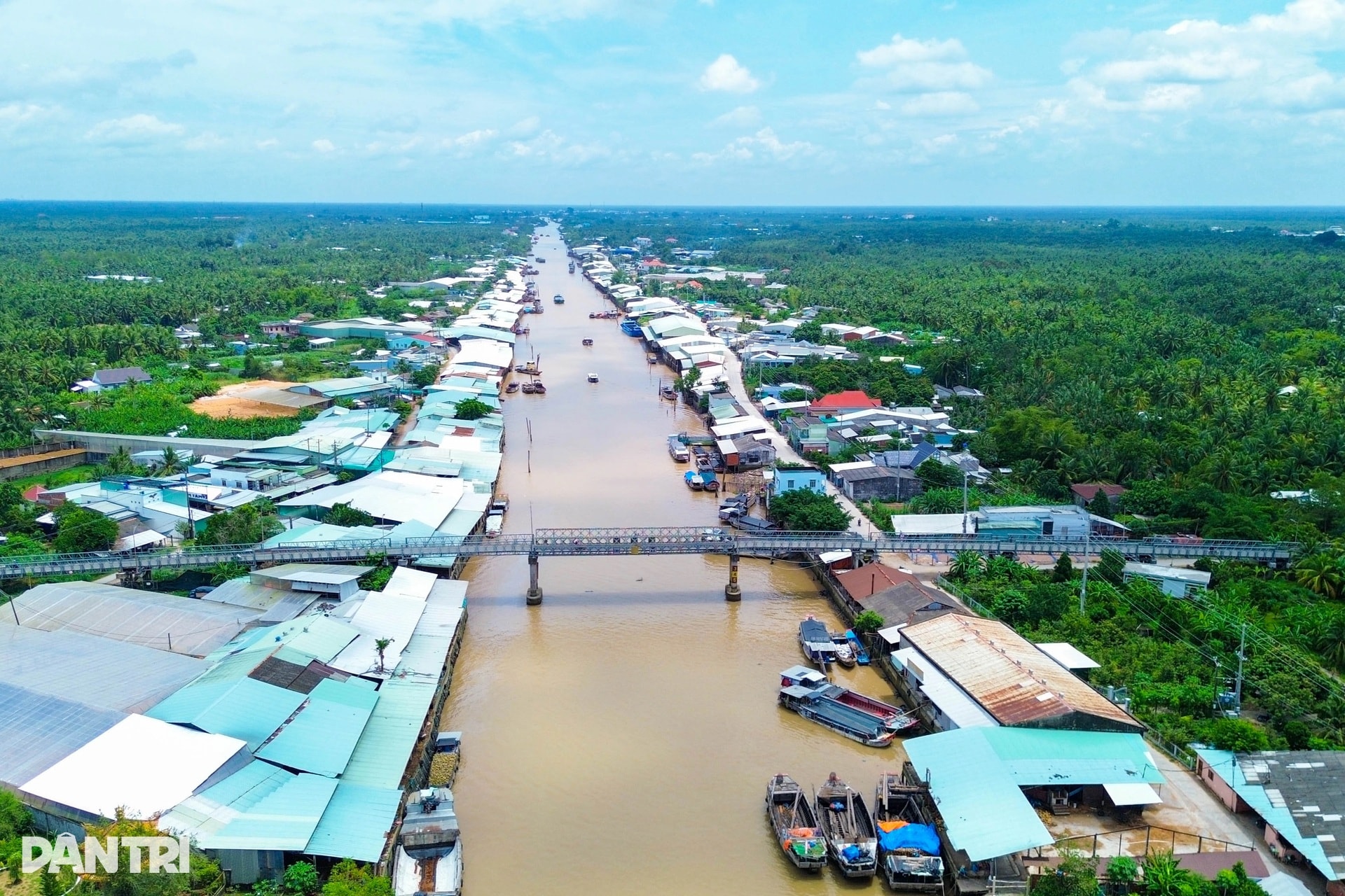 Người phụ nữ lột dừa tươi nhanh như máy, kiếm nửa triệu đồng mỗi ngày - 2 Người phụ nữ lột dừa tươi nhanh như máy, kiếm nửa triệu đồng mỗi ngày - 2