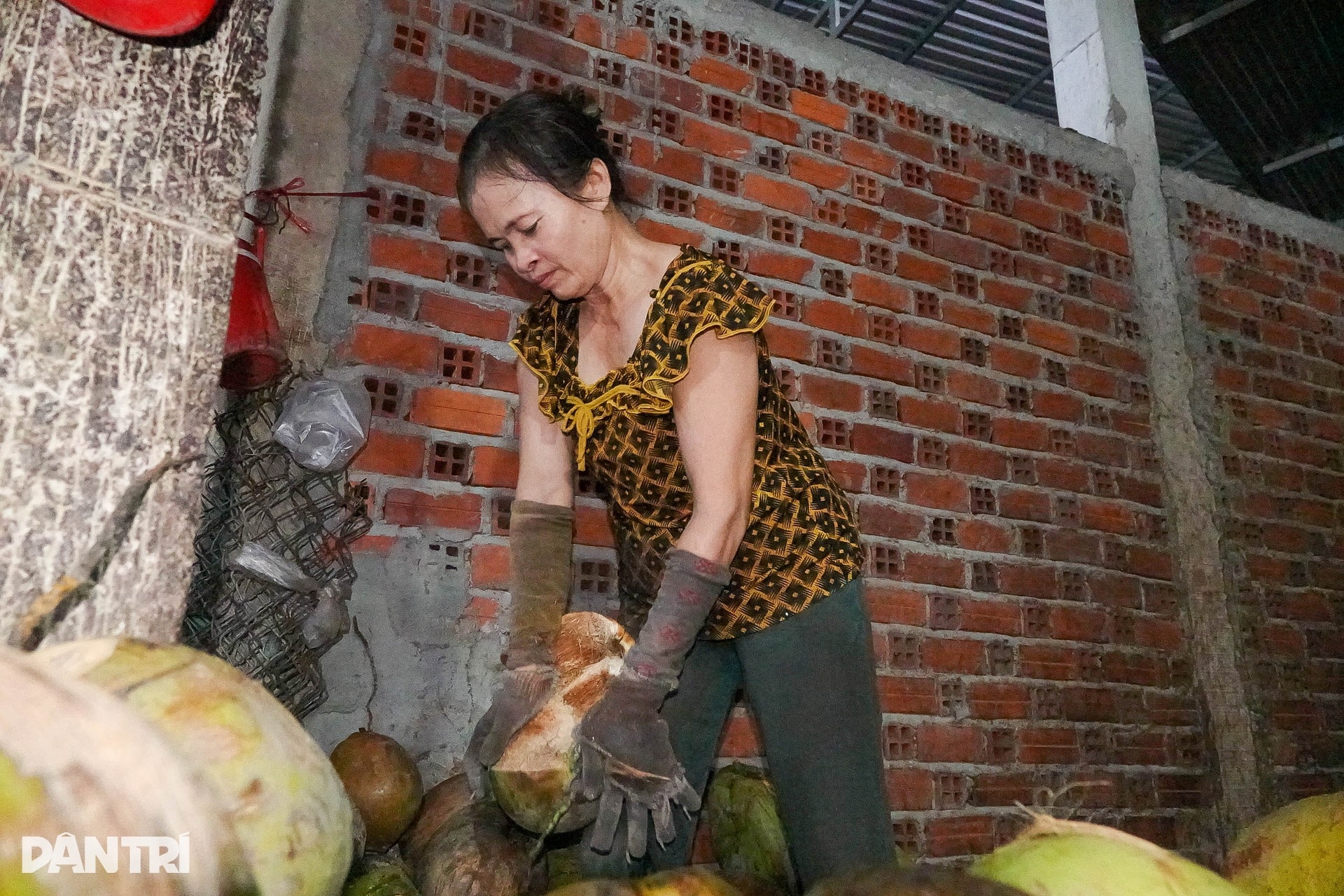 Người phụ nữ lột dừa tươi nhanh như máy, kiếm nửa triệu đồng mỗi ngày - 6 Người phụ nữ lột dừa tươi nhanh như máy, kiếm nửa triệu đồng mỗi ngày - 6