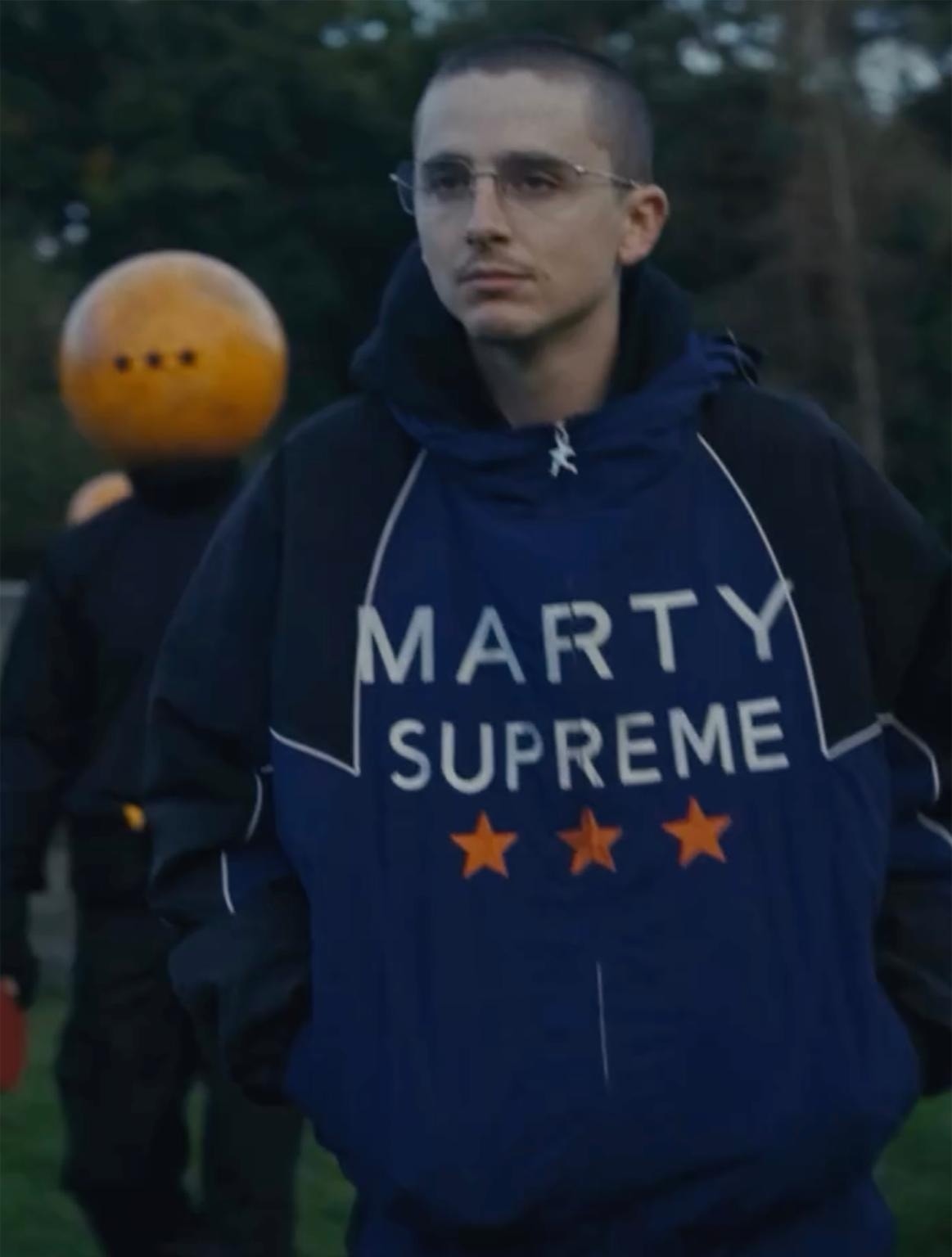 Timothée Chalamet  ảnh 2 Timothee Chalamet anh 2