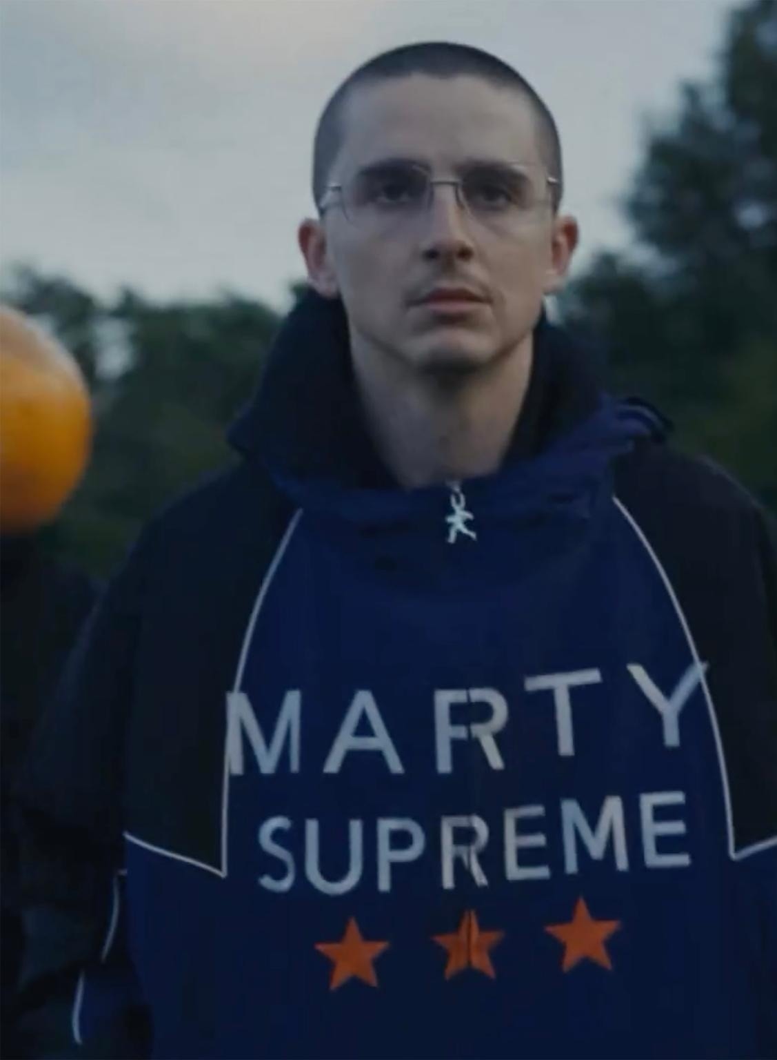 Timothée Chalamet  ảnh 1 Timothee Chalamet anh 1