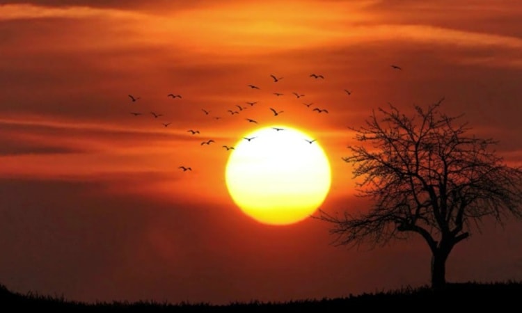 Lý do bầu trời chuyển thành màu đỏ vào hoàng hôn