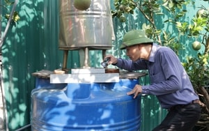 Nguy cơ cao biến chứng nặng do sốt xuất huyết, người dân cần cảnh giác- Ảnh 5. Nguy cơ cao biến chứng nặng do sốt xuất huyết, người dân cần cảnh giác- Ảnh 5.