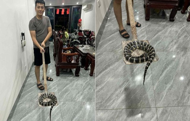 Con gái 12 tuổi bất ngờ la hét thất thanh, mẹ bước vào phòng vệ sinh thì sốc nặng - Ảnh 1.