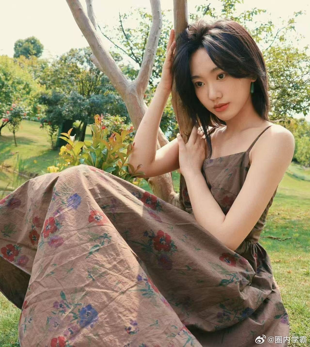 Diêu An Na,  Trương Khả Doanh,  Triệu Lệ Dĩnh,  Diêm Ni,  sao Hoa ngữ ảnh 8 Dieu An Na,  Truong Kha Doanh,  Trieu Le Dinh,  Diem Ni,  sao Hoa ngu anh 8