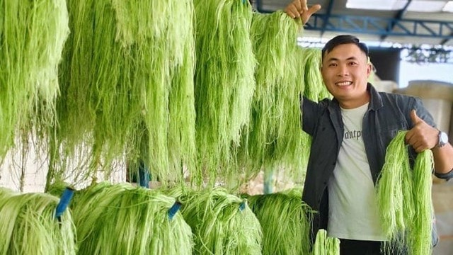 Gỡ bỏ sợi dây níu chân startup Việt - Ảnh 1.