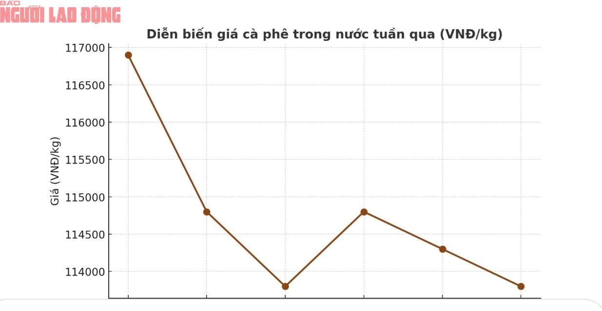 Giá cà phê hôm nay 12 - 10: Xuất khẩu cà phê đạt 9 tỉ USD - Ảnh 3. Giá cà phê hôm nay 12 - 10: Xuất khẩu cà phê đạt 9 tỉ USD - Ảnh 3.