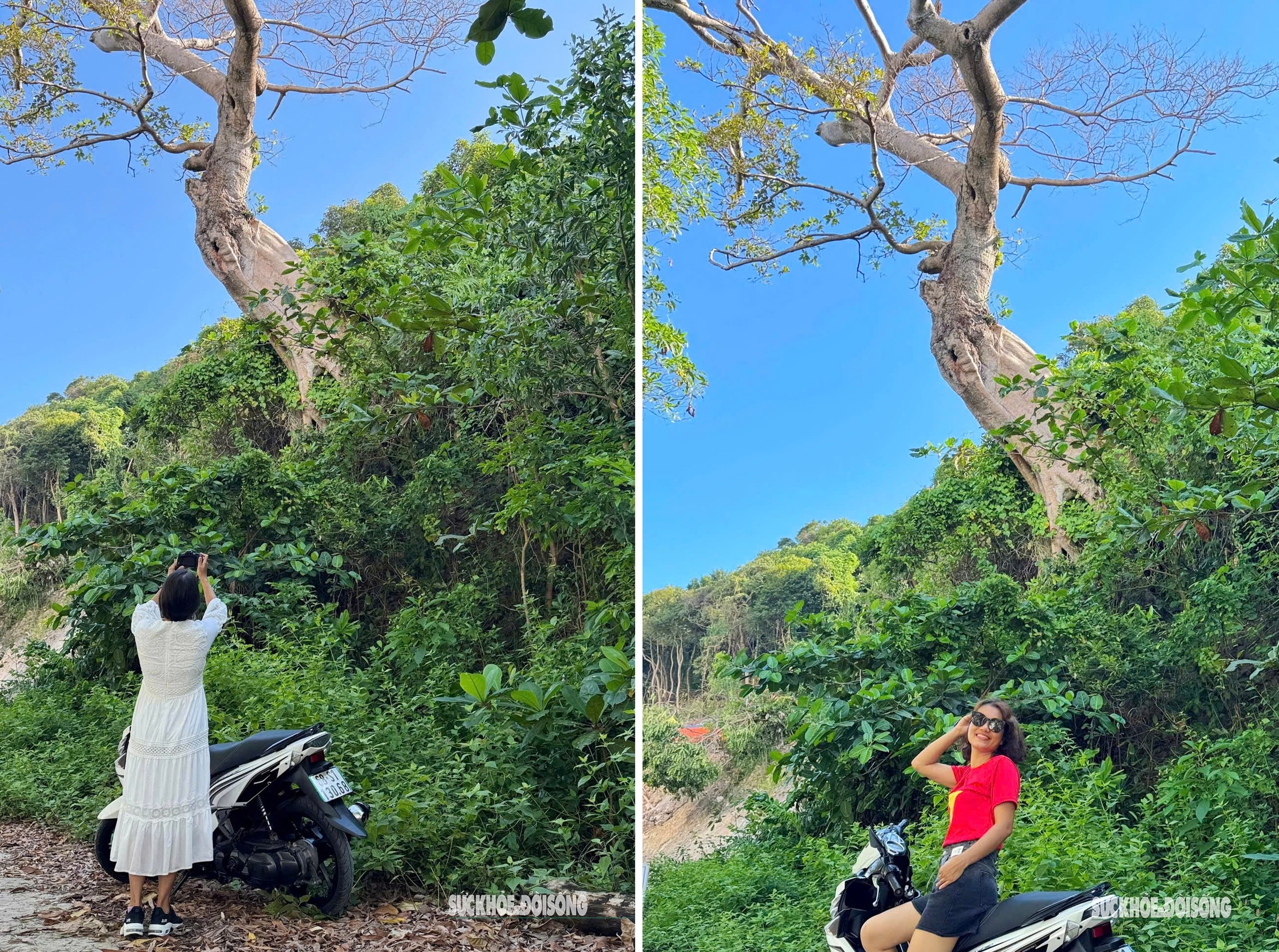 Đảo Nam Du níu chân du khách bởi vẻ đẹp hoang sơ- Ảnh 9.
