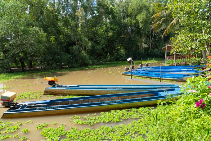 Vỏ lãi - phương tiện tham quan rừng tràm ngập mặn ở khu bảo tồn thiên nhiên Lung Ngọc Hoàng. Ảnh: Linh Huỳnh