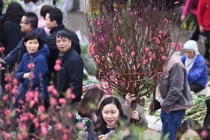 Người Hà Nội sắm hoa Tết ở chợ Quảng Bá. Ảnh: Giang Huy