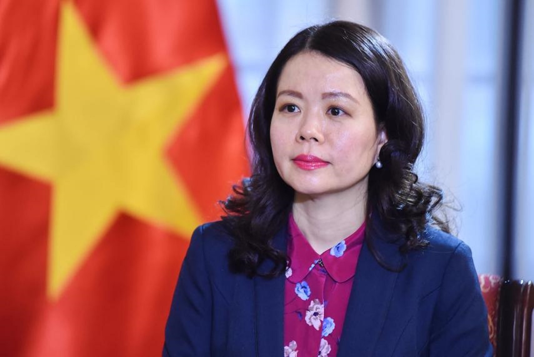 Thứ trưởng Ngoại giao Nguyễn Minh Hằng.