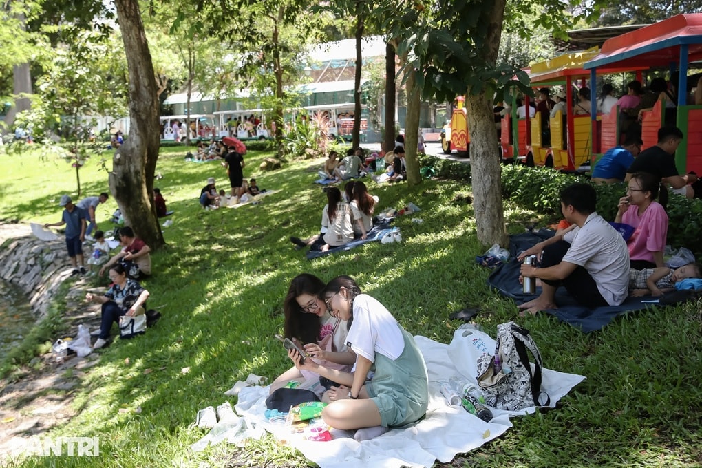 Chân dung ngôi sao Thảo Cầm Viên khiến Sơn Tùng M-TP tìm đến chụp ảnh - 3 Chân dung ngôi sao Thảo Cầm Viên khiến Sơn Tùng M-TP tìm đến chụp ảnh - 3